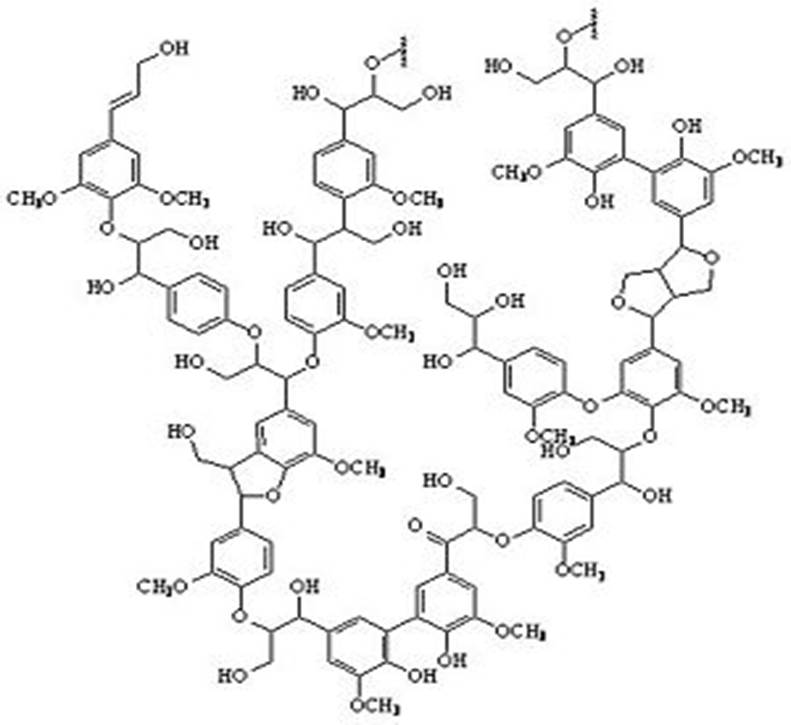 Sl. 5.Struktura lignina