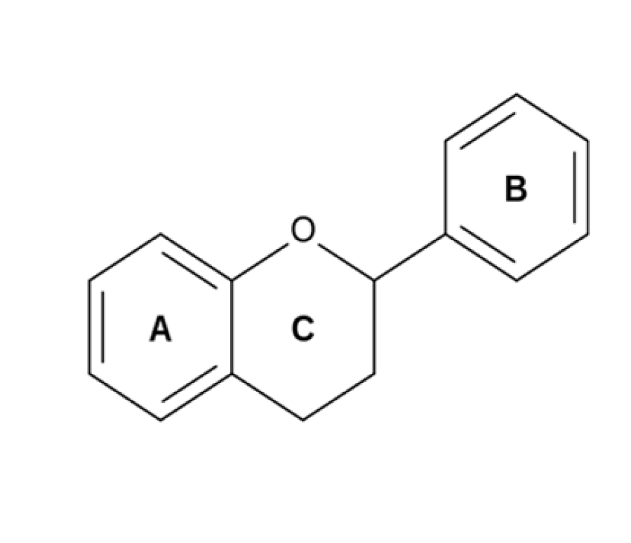 Sl. 14. Osnovna struktura flavonoida