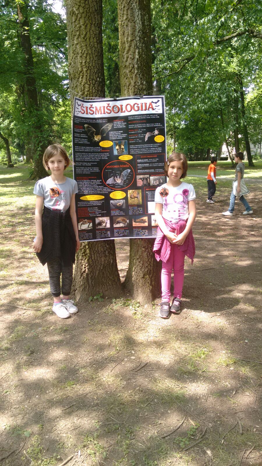 IMG 20160525 WA0005